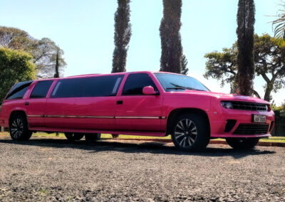 Aluguel de limousine rosa