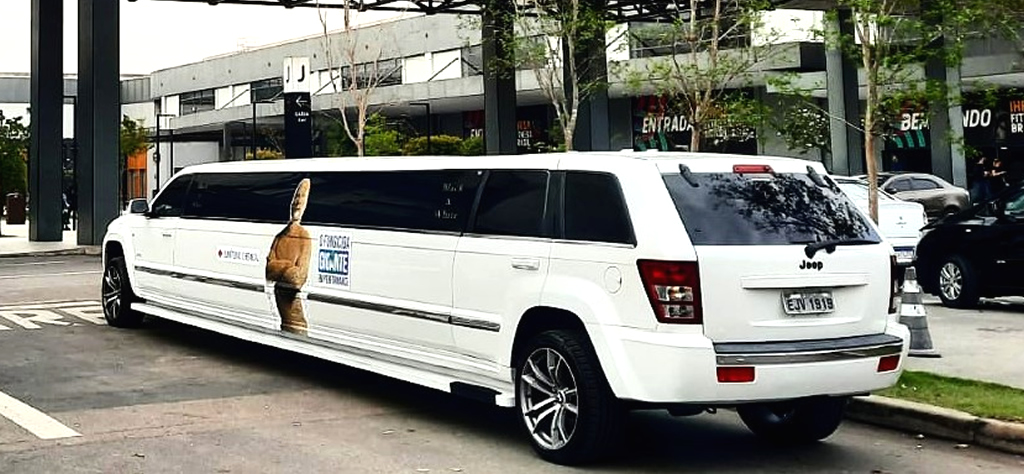 Aluguel de limousine para aniversário